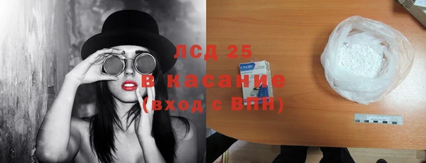 PSILOCYBIN Лабытнанги