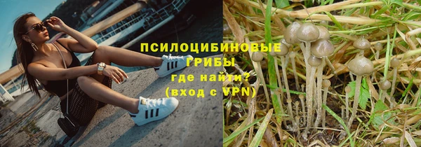 дурь Ветлуга