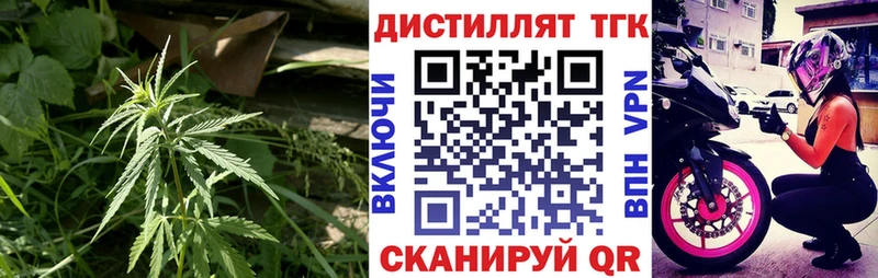 shop телеграм  Лебедянь  Дистиллят ТГК Wax 
