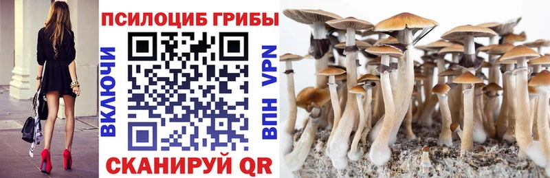 shop какой сайт  Лебедянь  Галлюциногенные грибы Magic Shrooms 