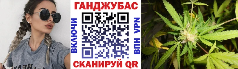 Каннабис план  Лебедянь 